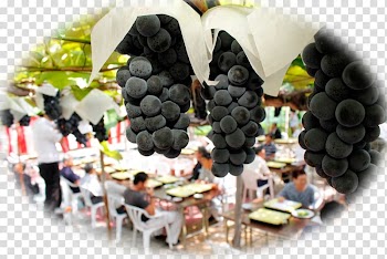 Budo Hiraka, Akita City Food, others transparent background PNG clipart