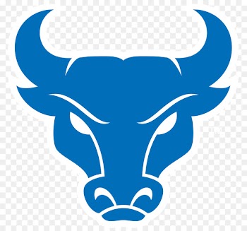 Buffalo Bulls football Buffalo Bulls men's basketball UB Stadium NCAA Division I Football Bowl Subdivision American football - tallahassee frame 