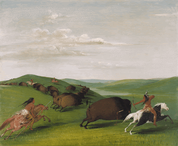 Buffalo Chase with Bows and | Free Photo - rawpixel
