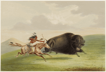 Buffalo Hunt, Chase (1844) painting | Free Photo - rawpixel