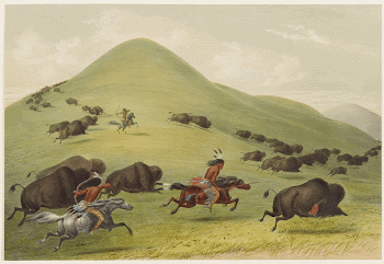 Buffalo Hunt: Chase. Original from the Minneapolis | Free Photo - rawpixel