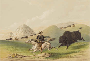 Buffalo Hunt, Chasing back. Original | Free Photo - rawpixel