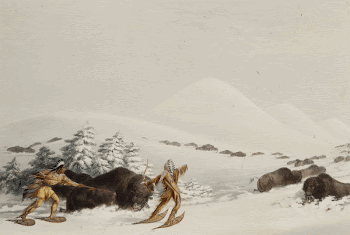 Buffalo Hunt, On Snow Shoes. | Free Photo - rawpixel