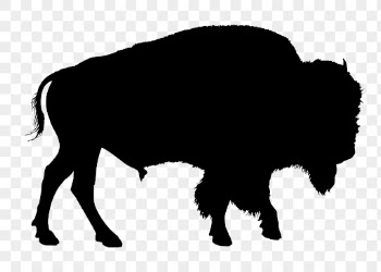 Buffalo png sticker animal silhouette, | Free PNG - rawpixel