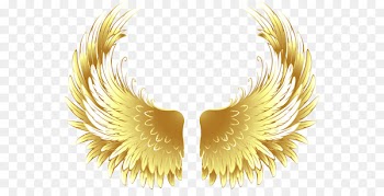 Buffalo wing Fried chicken - Games golden wings 