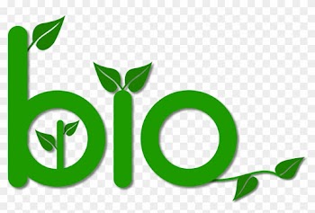 Buffer Boys Uses All Natural, Biodegradable Ingredients - Buffer Boys Uses All Natural, Biodegradable Ingredients