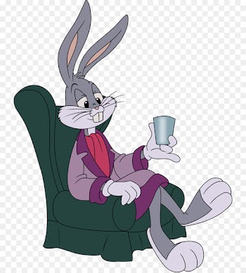 Bugs Bunny Plucky Duck Babs Bunny Daffy Duck Buster Bunny - Bugs Bunny 