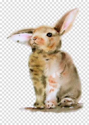 Bugs Bunny Rabbit Watercolor painting, Fluffy little bunny creative pull Free transparent background PNG clipart