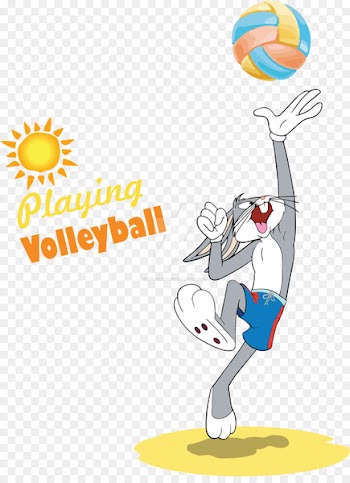 Bugs Bunny Tweety Tasmanian Devil Sylvester Daffy Duck - volleyball and volleyball net vector 