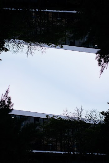 building behind trees