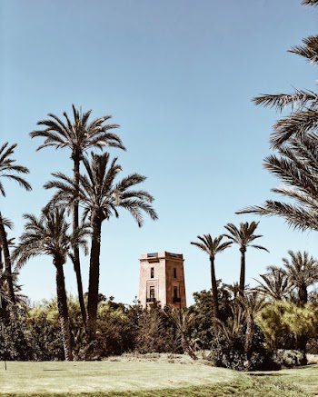 Building Surrounded With Coconut Trees