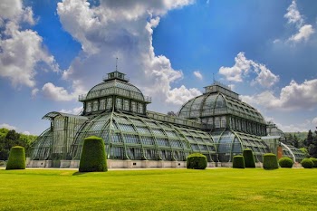 Building Surrounded With Green Grass