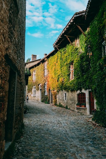 Buildings Covered With Plants
