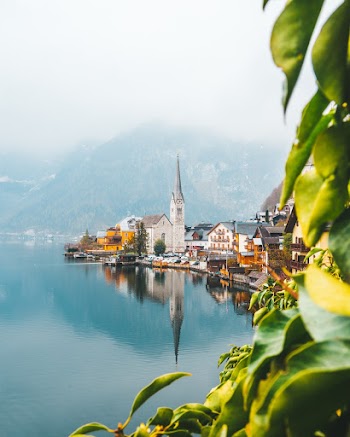 Buildings Near Body of Water