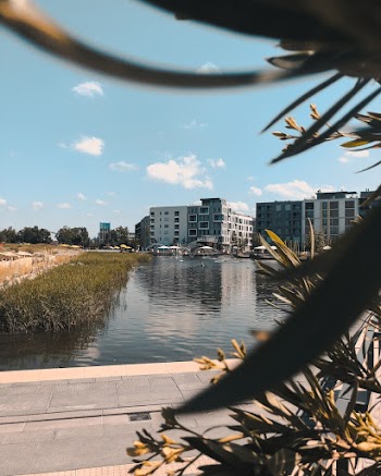 Buildings Near Body of Water