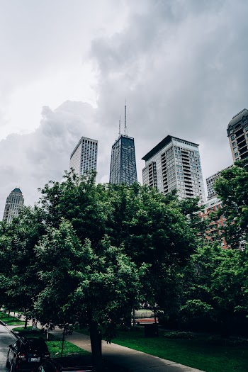 Buildings Near Trees
