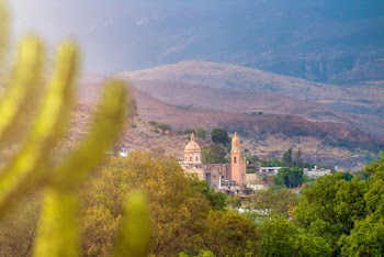 Buildings Near Trees and Mountains during Day
