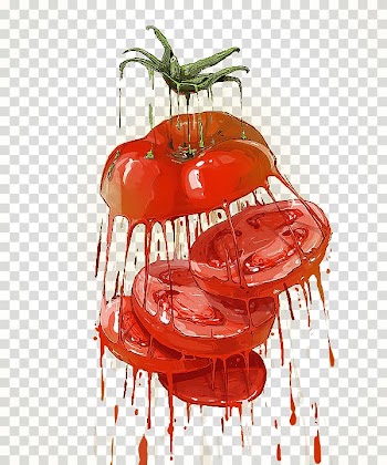 Bulgaria Illustrator Artist Street art Illustration, vegetables transparent background PNG clipart