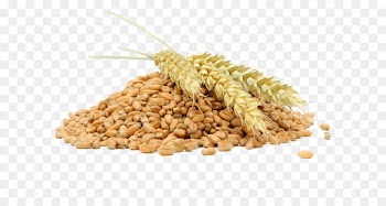 Bulgur, Food, Vegetarian Cuisine, Wheat PNG