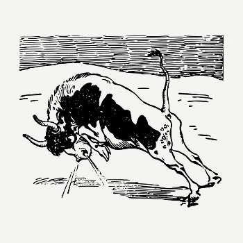 Bull clipart, vintage animal illustration | Free PSD Illustration - rawpixel