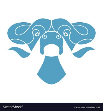 bull head design