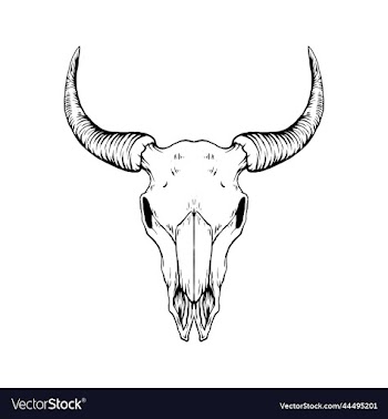 bull skull