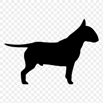 Bull Terrier png dog sticker | Free PNG - rawpixel