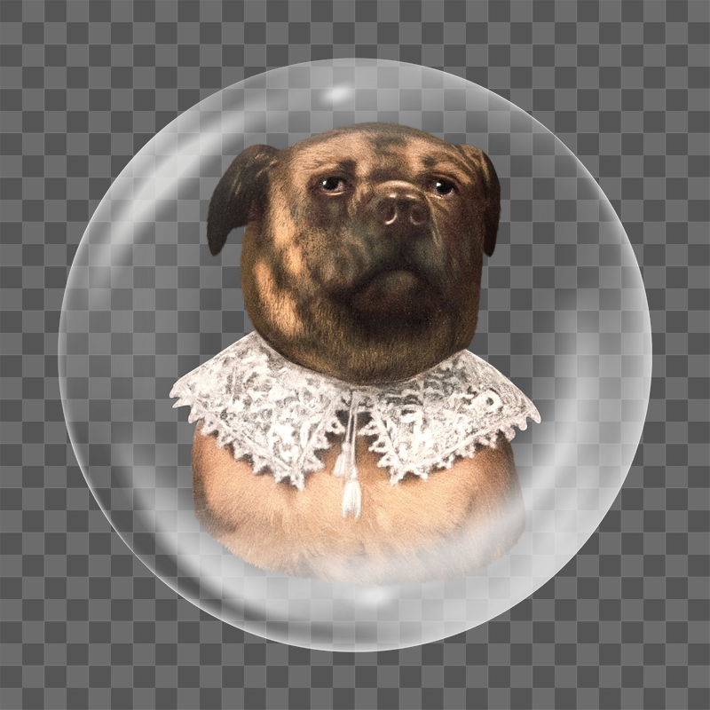 Bulldog png sticker, bubble design | Free PNG - rawpixel