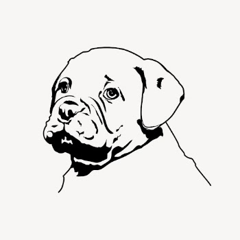 Bulldog puppy drawing, animal illustration | Free Vector - rawpixel