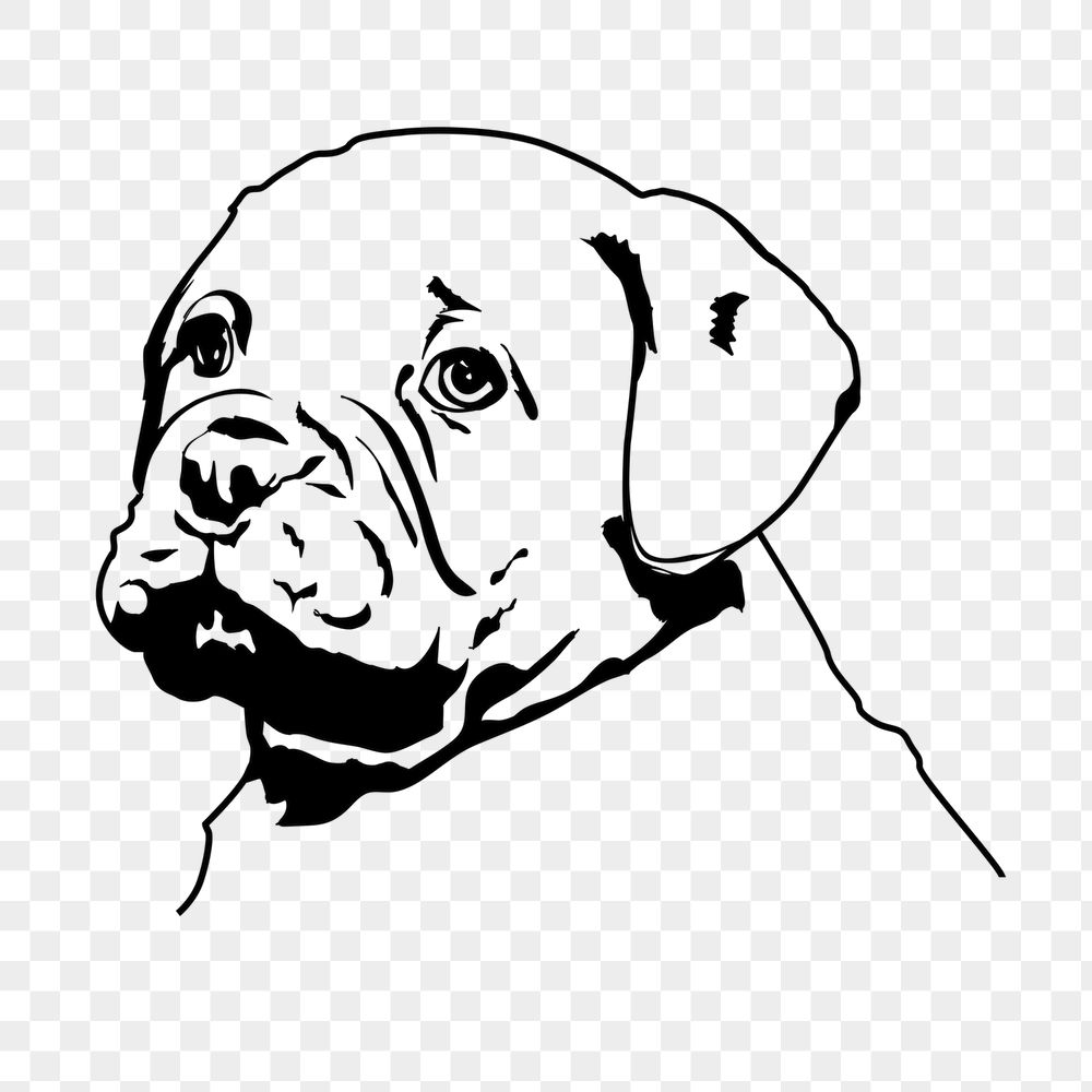 Bulldog puppy png sticker, animal | Free PNG - rawpixel