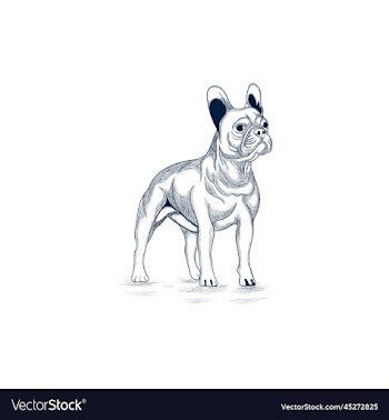 bulldog standing line art creative design