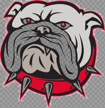 Bulldog Transparent Image