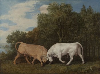 Bulls Fighting by George Stubbs | Free Photo - rawpixel
