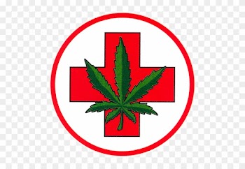 Bumper Sticker / Decal - Medical Marijuana Logo Png