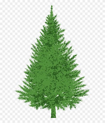 Buncee Evergreen - Evergreen Tree Clip Art