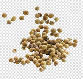 Bunch of brown fruits, Coriander seed Food Cumin Yogi Tea, seeds transparent background PNG clipart