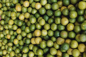 bunch of calamondins