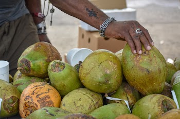 Bunch of Coconuts