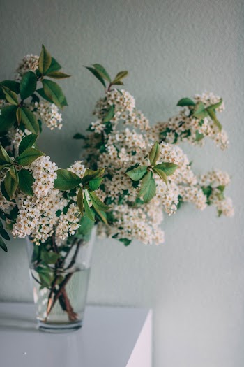Bunch Of Flowers In A Vase