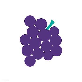 Bunch of grapes isolated graphic illustration | Free stock vector - 429443