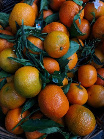 Bunch of Round Orange Fruits