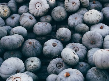 bunch of squash