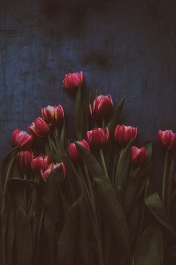 bunch of tulips flower on wooden surface