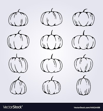 bundle of various of pumpkins in modern line