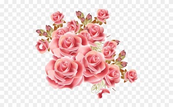 Bunga Vintage - Rosa Cor De Rosa Png