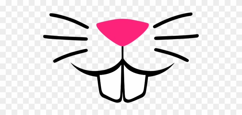 Bunny Face - Bunny Whiskers And Nose