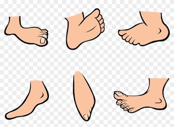 Bunny Feet Clipart Elegant Free Animataed Collection - Foot Cartoon Png
