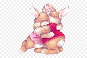 Bunny hug 
