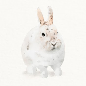 Bunny illustration, English Spot watercolor | Free Photo Illustration - rawpixel