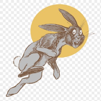Bunny jumping png sticker, moon | Free PNG - rawpixel